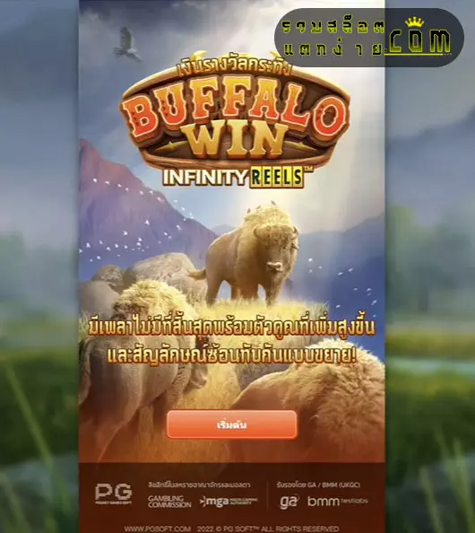 buffalo-win-main